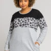 Grey Curve Animal Print Colourblock Top -Outlet Modi Qube Store 08c72854 e4b8 43ea aac5 822b8b80bf26