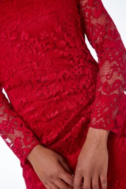 Red Petite Side Ruched Lace Dress 11 Red Petite Side Ruched Lace Dress -Outlet Modi Qube Store aa287266 91ab 4b6a a79e 092658f0b160